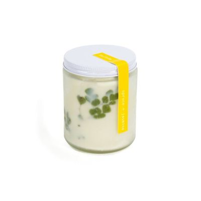 Candles - Greenhouse candle - TO:FROM