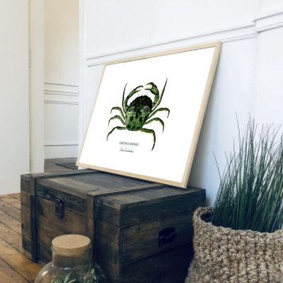 Affiches - Affiche le Crabe Vert - Reproduction sur papier d'Art - VAREK ILLUSTRATIONS