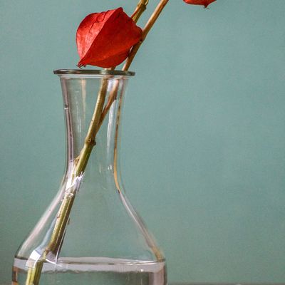 Cadeaux - Perles de céramique EM spécial vases vpour des bouquets qui durent ! CERA'VASE - LES VERTS MOUTONS