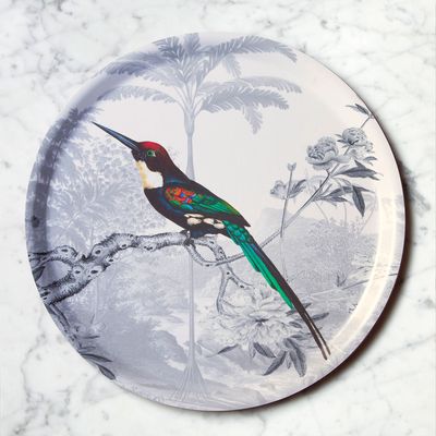 Trays - Paradise Jacamar serving tray - PARADISIO IMAGINARIUM