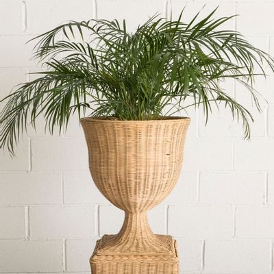 Vases - Vase Sur Piédestal en Rotin ATENEA - MAHE HOMEWARE