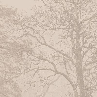 Wallpaper - SILVA custom wallpaper. - LGD01 DECOR MURAL SUR MESURE