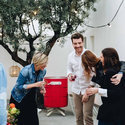 Barbecues - Gas barbecue - LULU - ALUVY