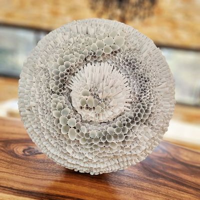 Unique pieces - Transformation - Coralia Collection - VERONIQUE GUILLOU