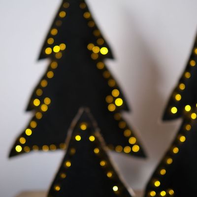 Decorative objects - Black luminous fir - ROSE VELOURS