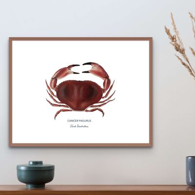 Poster - The Red Crab poster - Reproduction on art paper - VAREK ILLUSTRATIONS
