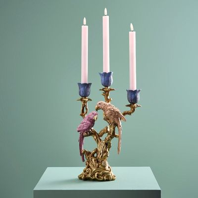 Decorative objects - Candle holder parrots - WERNER VOSS