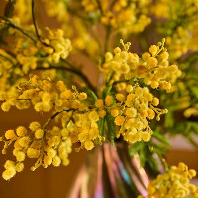 Décorations florales - Artificial mimosa, designed to reflect the best of nature - SILK-KA BV