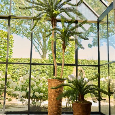 Floral decoration - Artificial trees and plants - Cycas revoluta - SILK-KA BV