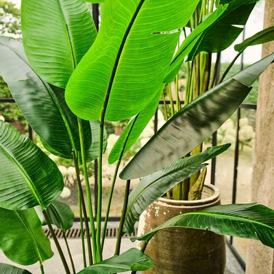 Décorations florales - Arbres et plantes artificiels - Strelitzia Nicolai - SILK-KA BV