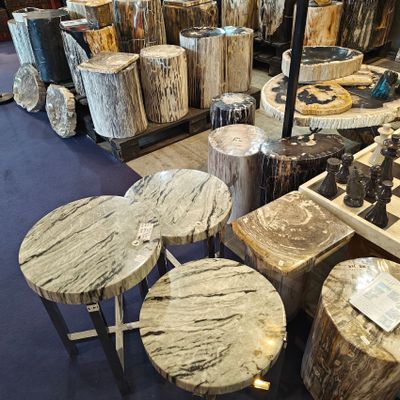 Stools - Petrified wood stool - WILD-HERITAGE.COM