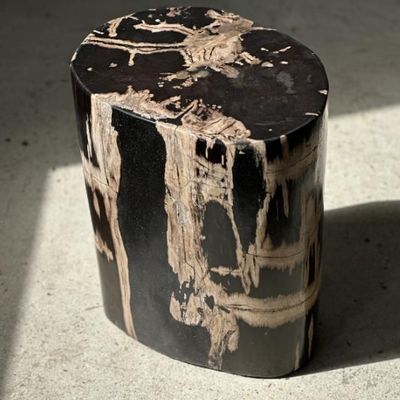 Tables basses - Table d'appoint, guéridon ou mobilier d'appoint en bois pétrifié - OFFICE OBJETS