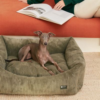 Decorative objects - Snozy Green Corduroy Dog Bed - CAFIDE PETS S.L.