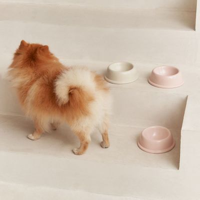 Accessoires animaux - Handmade in Portugal Ceramic Dog Bowl, Bole - CAFIDE PETS S.L.