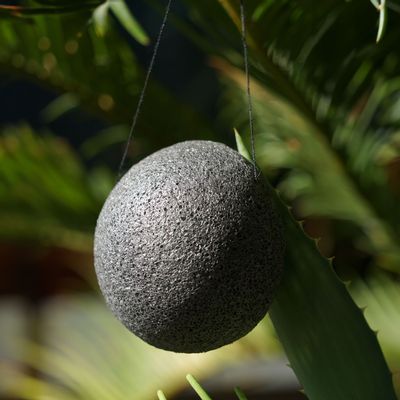 Beauty products - ORGANIC KONJAC SPONGE ENRICHED WITH BAMBOO CHARCOAL - IN BULK - KARAWAN AUTHENTIC