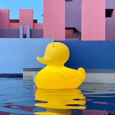 Accessoires de déco extérieure - - THE DUCK-DUCK LAMP™️ XL - LUMINAIRE/Lampe FLOTTANT - GOODNIGHT LIGHT