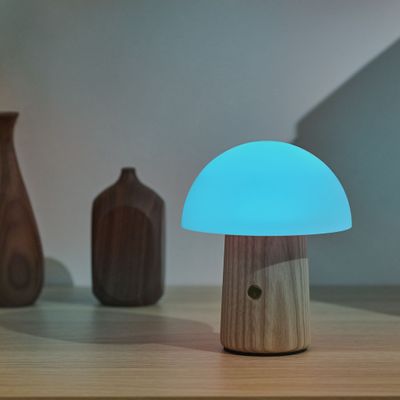 Lampes de bureau  - Alice Mushroom Lamp - GINGKO DESIGN
