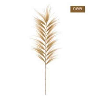 Decorative objects - Rayung Natural Grass Branch - HYDILE
