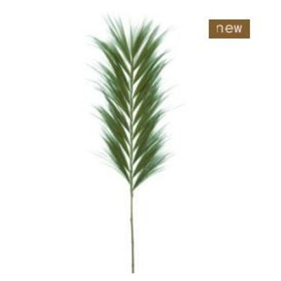 Objets de décoration - RAYUNG - Feuille naturelle verte - Décoration XXL - HYDILE