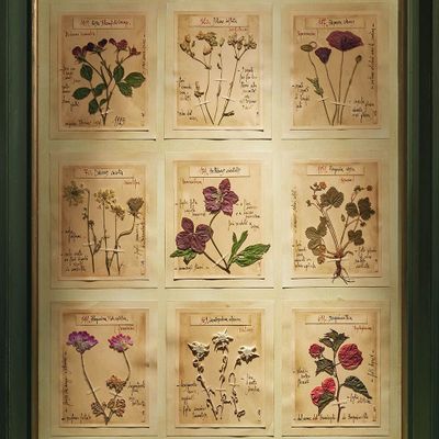 Objets de décoration - Handmade herbarium table. - OFFICINA NATURALIS
