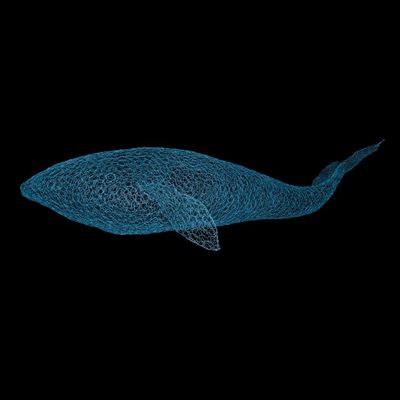 Unique pieces - Aquatic inspiration - Fish and cetaceans - ODILE MOULIN SCULPTURES