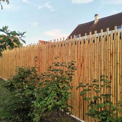 Outdoor decorative accessories - Natural bamboo fence from the Japanese range Ref: 5-JF - BAMBOULAND