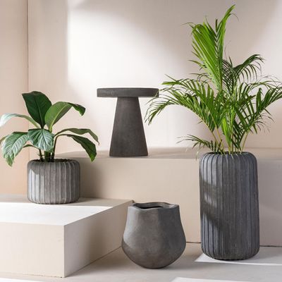 Vases - Planters & Vase - NATURE'S LEGACY