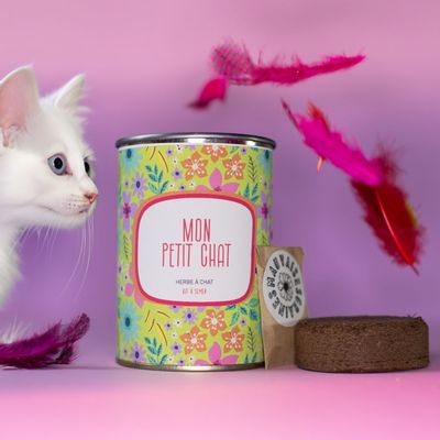 Gifts - Kit à semer « Mon petit chat » fabriqué en France - MAUVAISES GRAINES