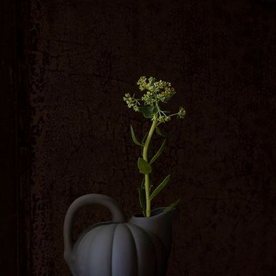 Ustensiles de cuisine - pitcher - MANUFACTURE DE DIGOIN 1875