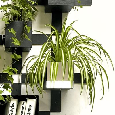 Green walls - PIXEL Mirror, Natural Slate Wall Planter, - LE TRÈFLE BLEU