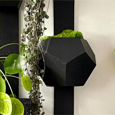 Other wall decoration - LUCI natural slate wall planter - LE TRÈFLE BLEU