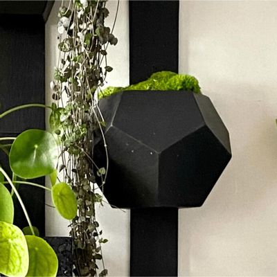 Other wall decoration - LUCI, natural slate wall planter - LE TRÈFLE BLEU