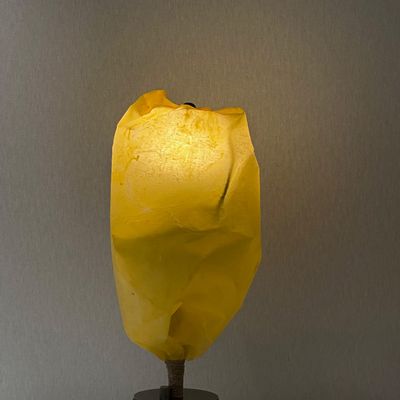 Decorative objects - Membrane lamp - ENVOLVED COMPONENTS