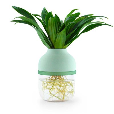 Floral decoration - Le TOT'SUPER sauge - Plante totem autonome (M) - TOT'