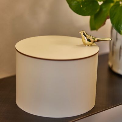 Design objects - STYLISH CONTAINER - ADJ STYLE