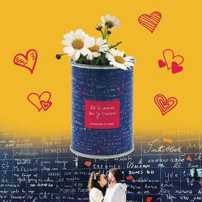 Gifts - Kit à semer "Le Mur des Je t'aime" - MAUVAISES GRAINES