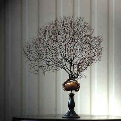 Decorative objects - Our collection of sea fans - OBJET DE CURIOSITÉ