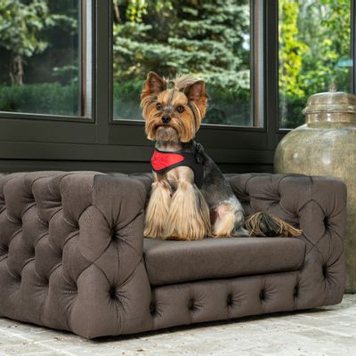 Objets design - Canapé haut de gamme pour chien, GLAMOUR - PET EMPIRE