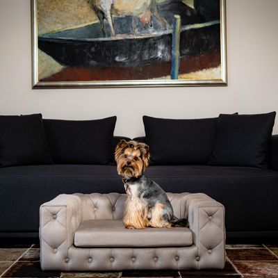 Accessoires animaux - ROYAL  lit haut de gamme pour chien - PET EMPIRE