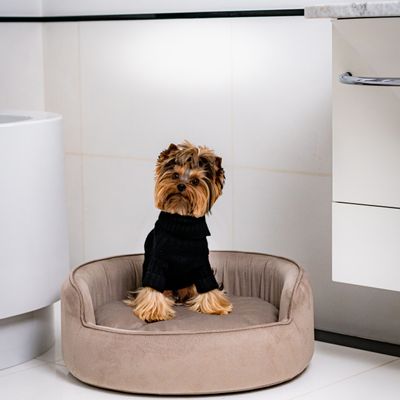 Objets de décoration - YIN YANG Le luxueux panier pour chien - PET EMPIRE