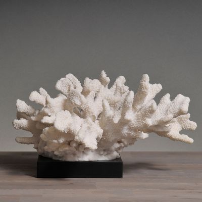 Sculptures, statuettes and miniatures - The Corals - ATELIERS C&S DAVOY
