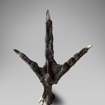 Sculptures, statuettes and miniatures - Wild Turkey Claw Bronze Sculpture - EAGLADOR