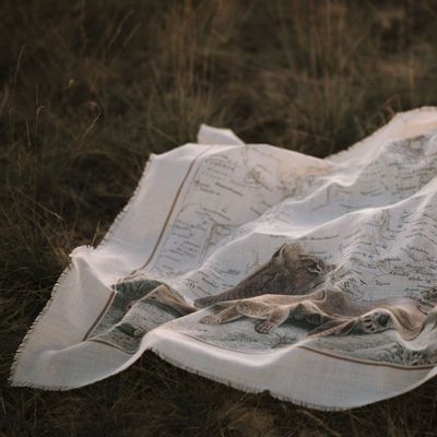 Scarves - Silk & Wool shawl - MAOULI