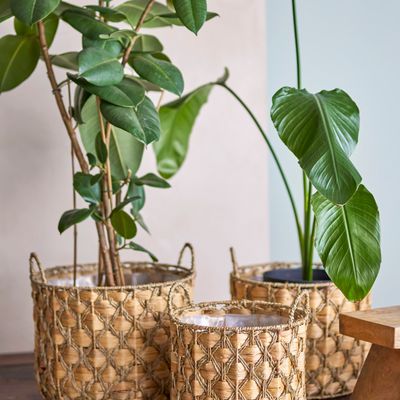 Shopping baskets - Joleen Basket, Nature, Water Hyacinth Set of 3 - CREATIVE COLLECTION