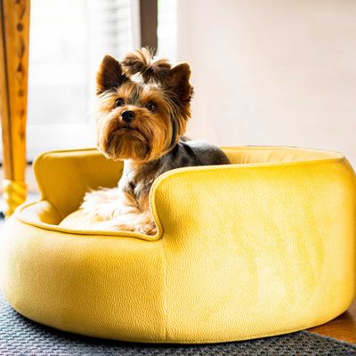 Design objects - YIN YANG Luxury Dog Basket - PET EMPIRE