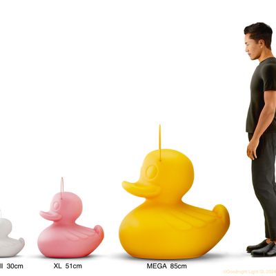 Outdoor decorative accessories - THE DUCK-DUCK LAMP ™️  - FLOATING LIGHT/ LAMP - GOODNIGHT LIGHT