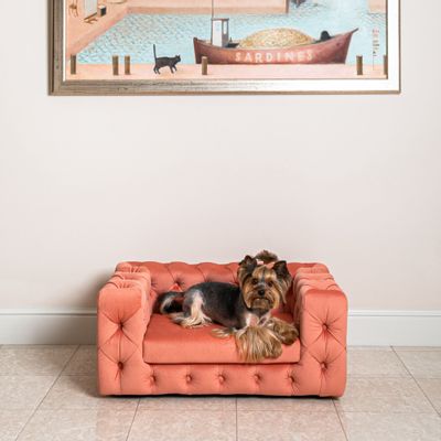 Accessoires animaux - Canapé élégant pour chien GLAMOUR - PET EMPIRE