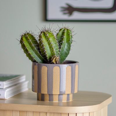 Flower pots - Awoh Flowerpot, Grey, Stoneware  - BLOOMINGVILLE MULTIBRAND HOUSE