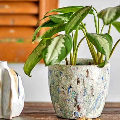 Flower pots - Niin Deco Flowerpot, Blue, Terracotta  - CREATIVE COLLECTION
