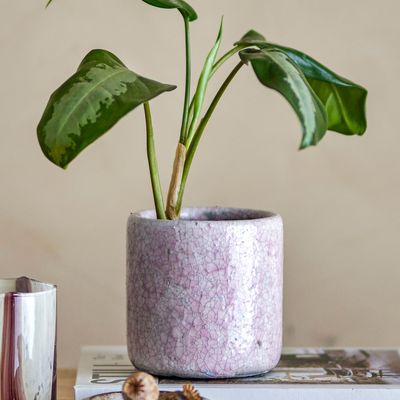 Flower pots - Nili Deco Flowerpot, Rose, Terracotta  - BLOOMINGVILLE MULTIBRAND HOUSE